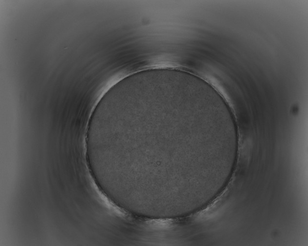 X0000093480810200710191205