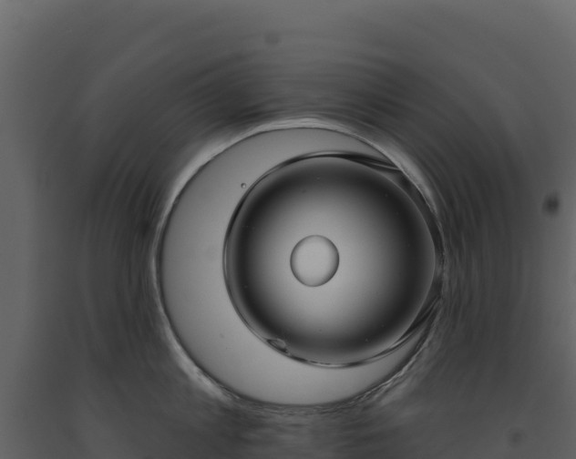 X0000093480813200710191205