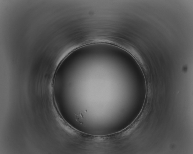 X0000093480814200710191205