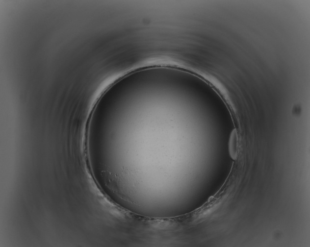 X0000093480815200710191205