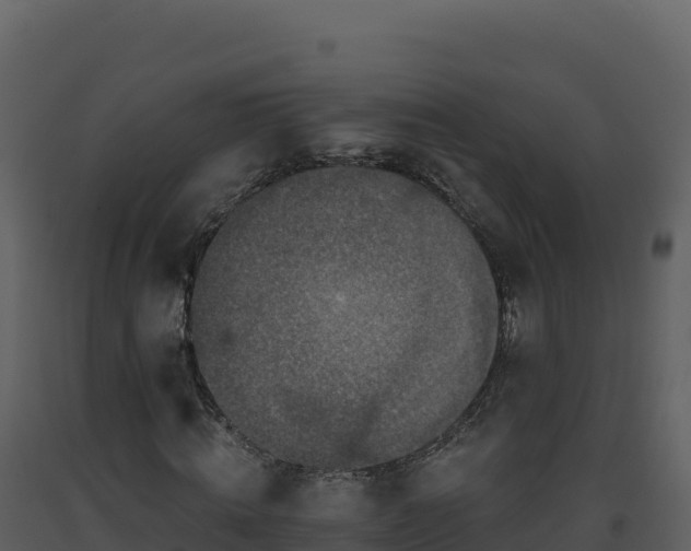 X0000093480820200710191204