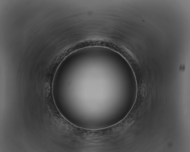 X0000093480821200710191204