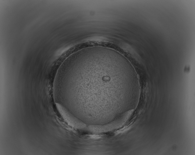 X0000093480822200710191204