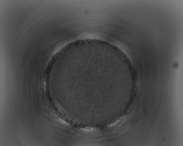 X0000093480823200710191204