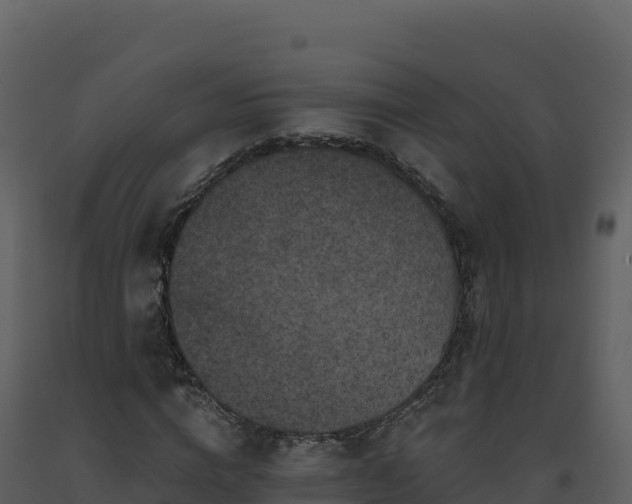 X0000093480824200710191204