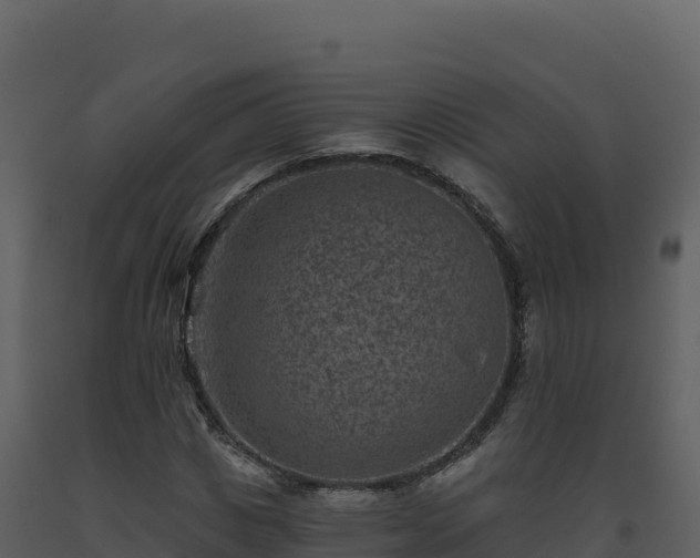 X0000093480825200710191204
