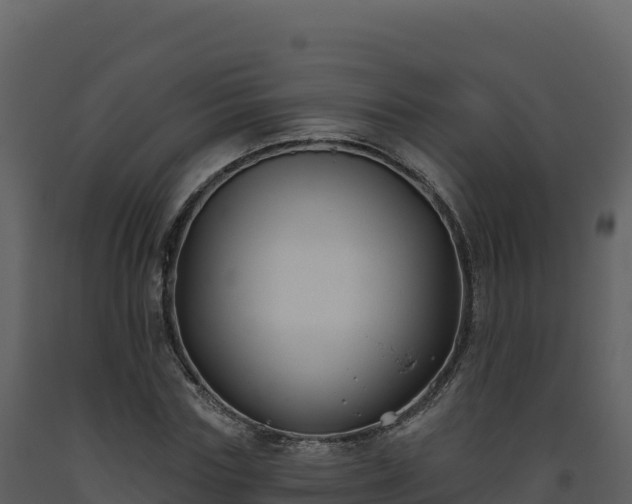 X0000093480827200710191204