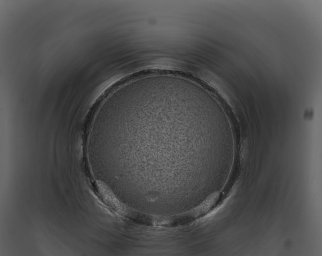 X0000093480829200710191204