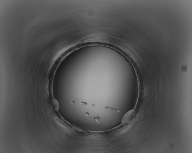 X0000093480830200710191204