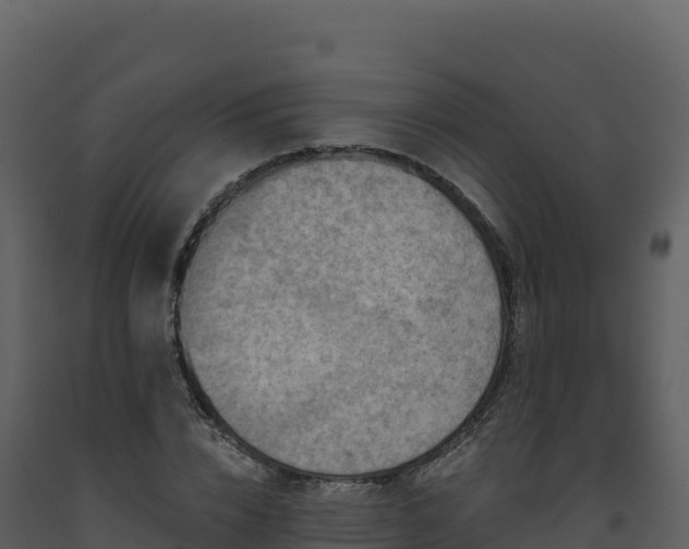 X0000093480832200710191204