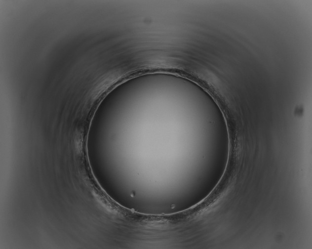 X0000093480833200710191204