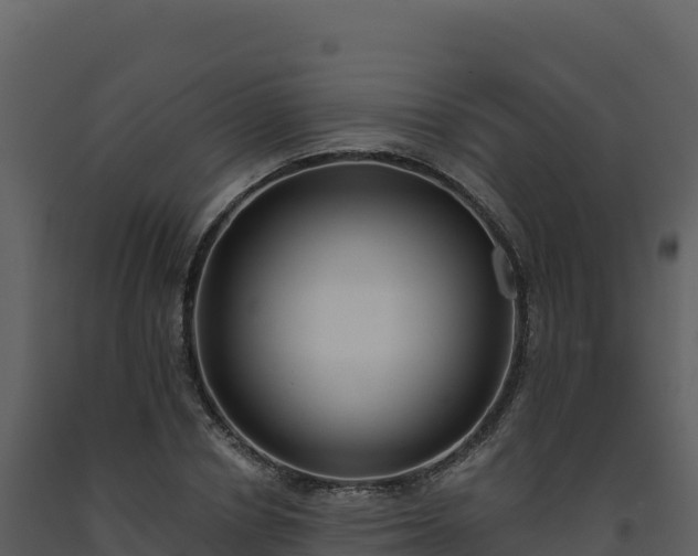 X0000093480834200710191204