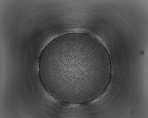 X0000093480835200710191204