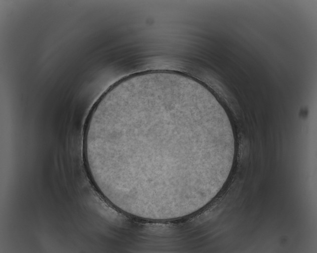 X0000093480836200710191204