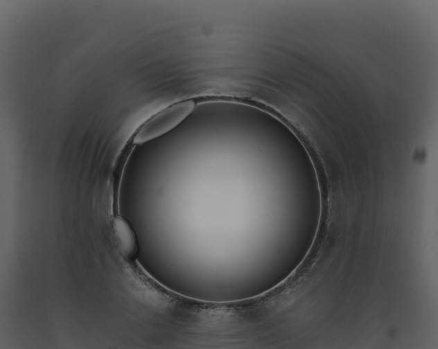 X0000093480838200710191204