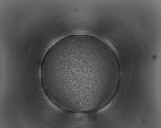 X0000093480839200710191204