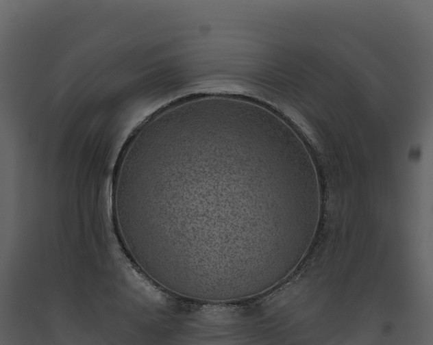X0000093480840200710191204