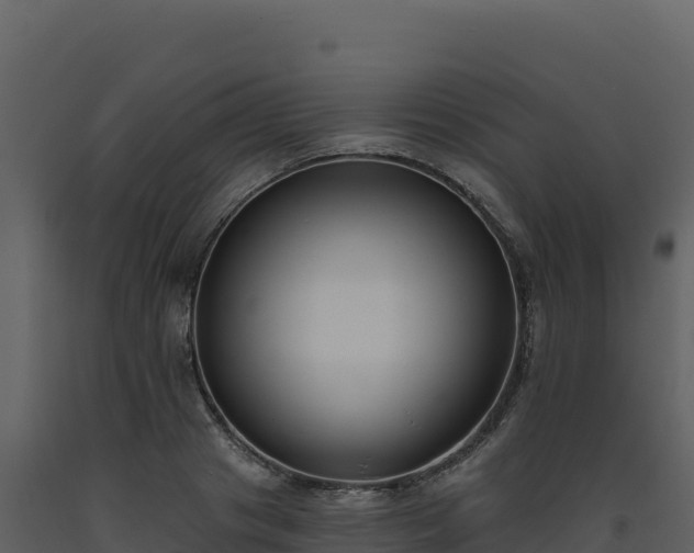 X0000093480841200710191204
