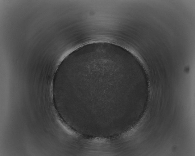 X0000093480842200710191204