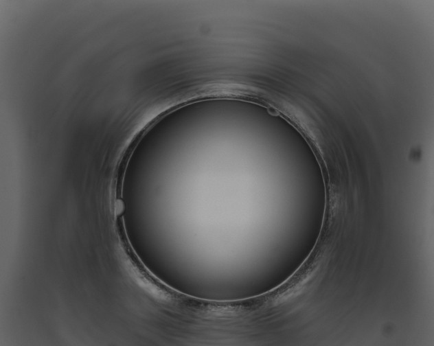 X0000093480843200710191204