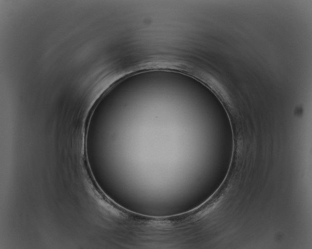 X0000093480844200710191204