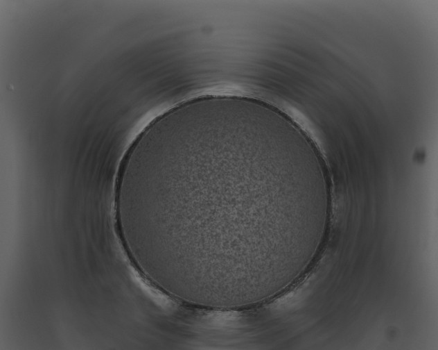 X0000093480845200710191204