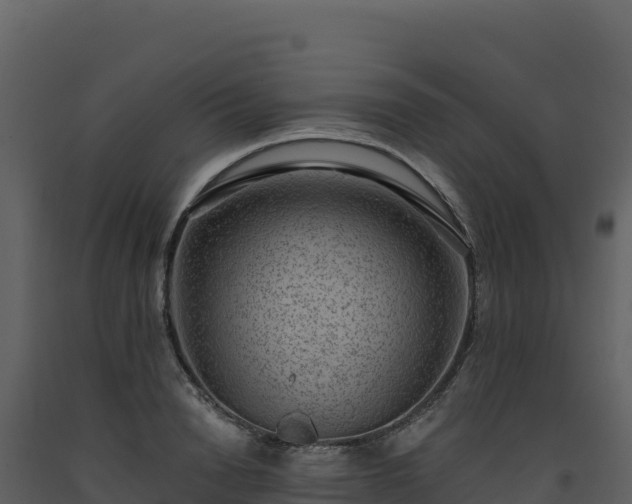 X0000093480846200710191204
