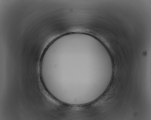 X0000093480848200710191204