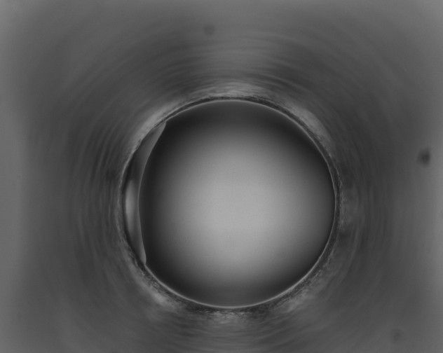 X0000093480850200710191204
