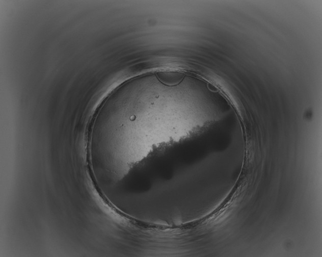 X0000093480851200710191204