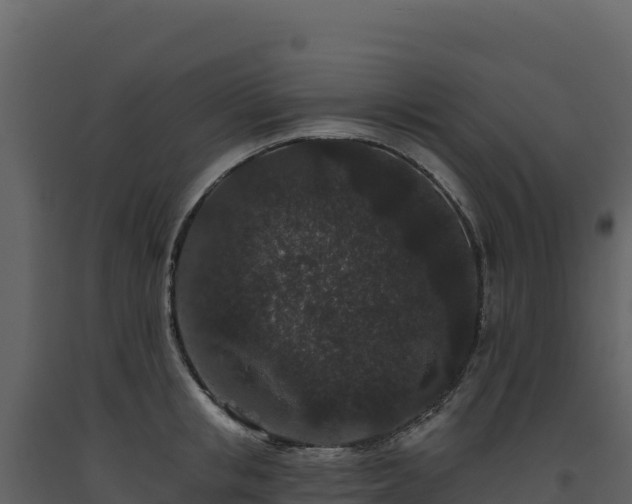 X0000093480853200710191204