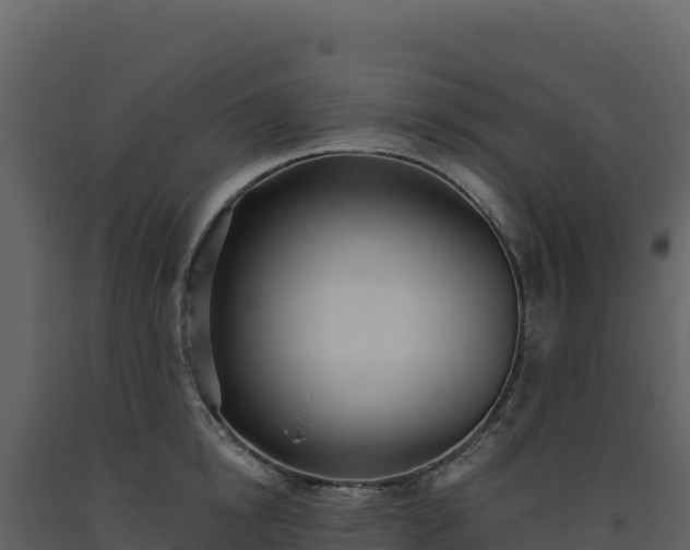 X0000093480854200710191204
