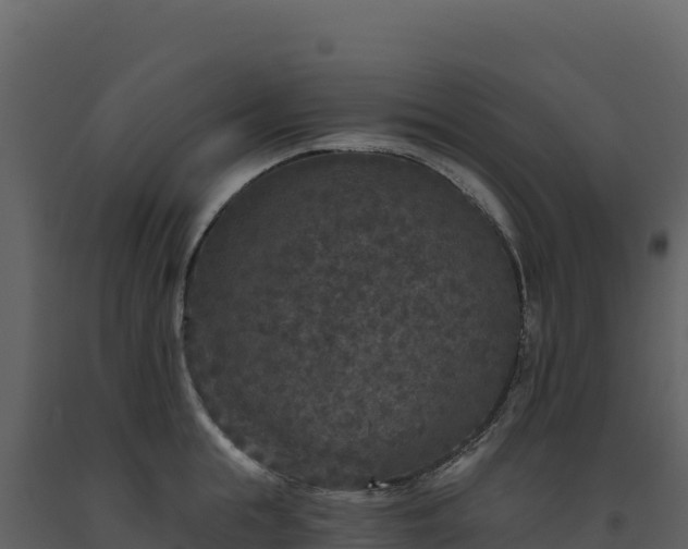 X0000093480855200710191204