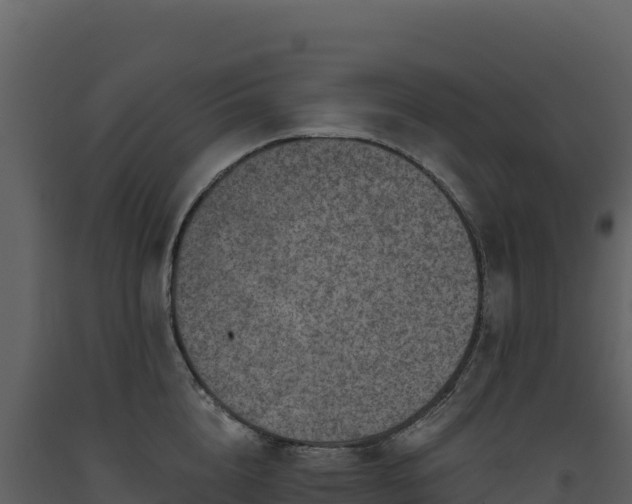X0000093480856200710191204