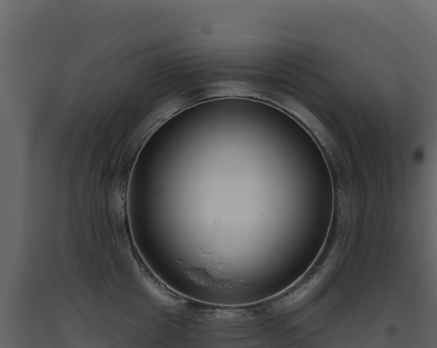 X0000093480857200710191204