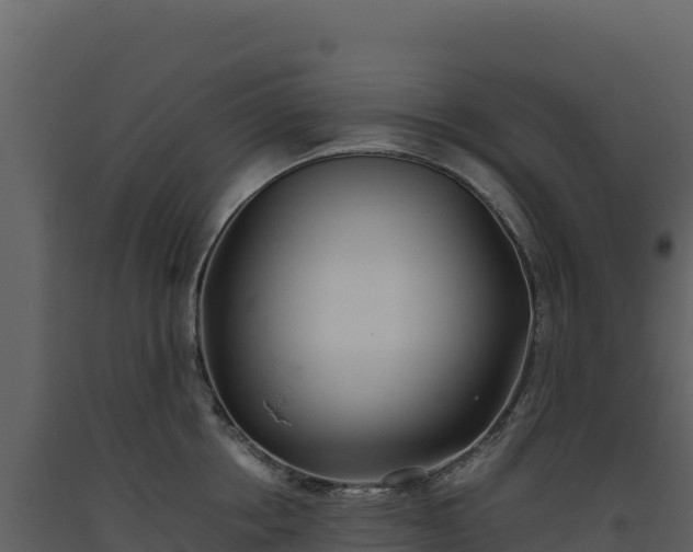 X0000093480858200710191204