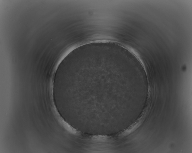 X0000093480859200710191204
