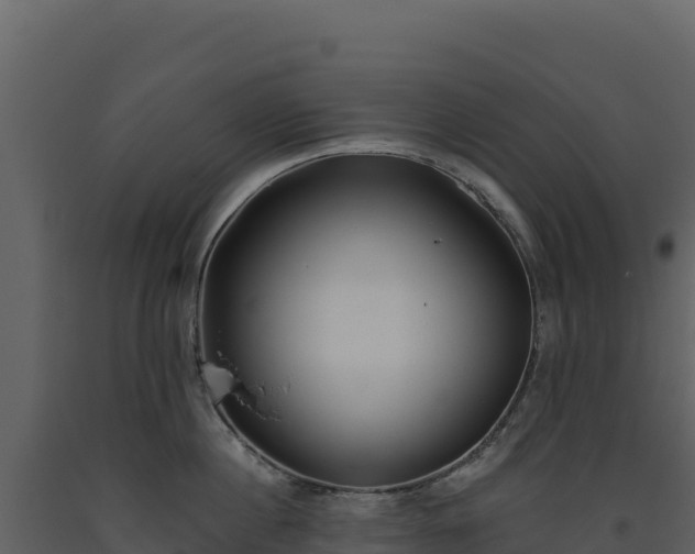 X0000093480860200710191205