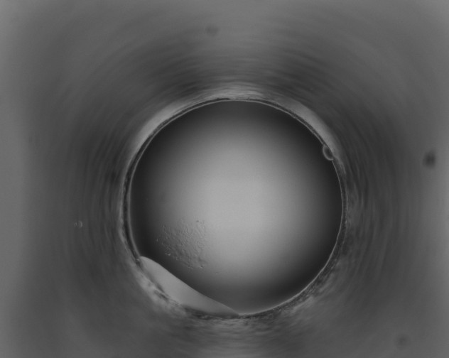X0000093480861200710191205
