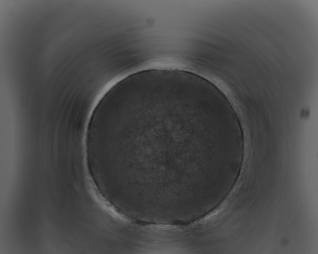 X0000093480864200710191205