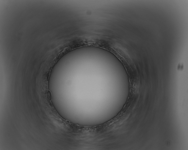 X0000093480865200710191204
