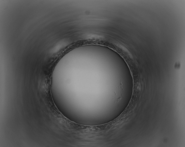 X0000093480869200710191204