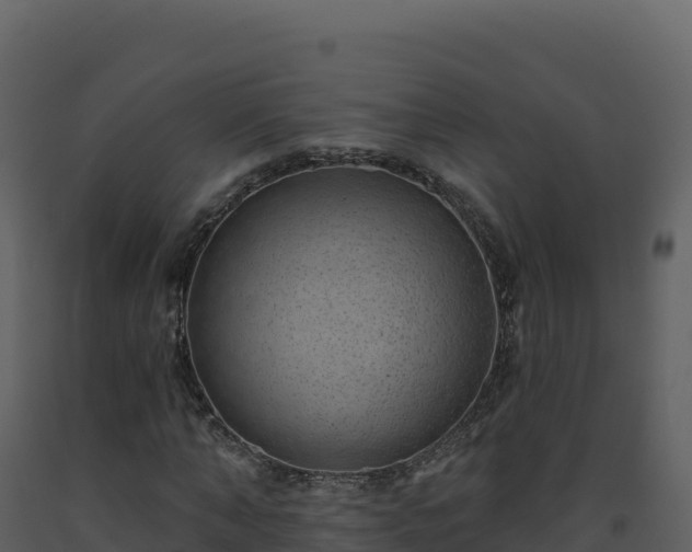 X0000093480870200710191204