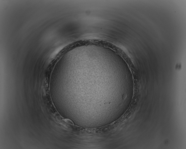 X0000093480871200710191204