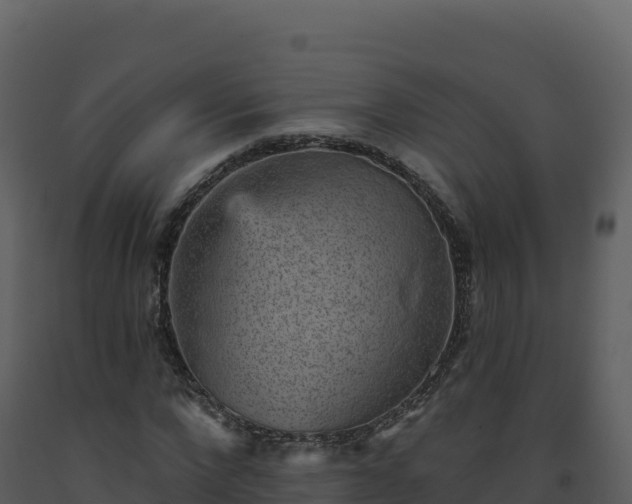 X0000093480872200710191204