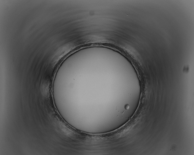 X0000093480873200710191204
