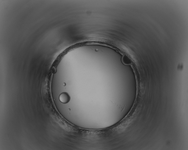 X0000093480875200710191204