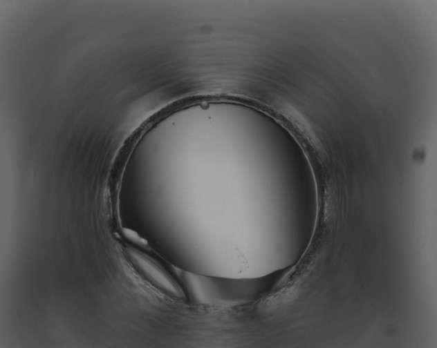 X0000093480876200710191204