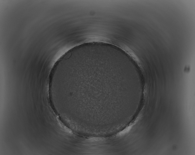 X0000093480877200710191204
