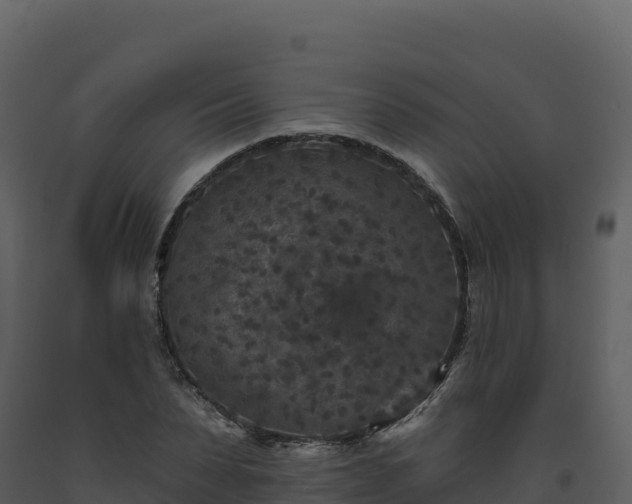X0000093480879200710191204